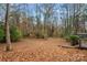 Large backyard with wooded area and autumn leaves at 3216 High Ridge Rd, Charlotte, NC 28270