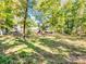 Large grassy backyard with wooded backdrop at 3613 Ridge Rd, Indian Trail, NC 28079