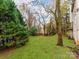 Expansive backyard with mature evergreens, other trees, and a wooden playset to the right at 501 River Oaks Ln, Charlotte, NC 28226