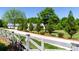 Picturesque tree-lined driveway leading to homes, enhancing curb appeal and providing a sense of privacy at 796 Cornelius Rd, Mooresville, NC 28117