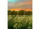 Expansive front lawn and sunrise view for this beautiful property at 796 Cornelius Rd, Mooresville, NC 28117