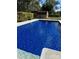 Enjoy this backyard pool with crisp, clear water and storage building at 809 23Rd E St, Newton, NC 28658