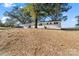 Back exterior view of a bright white home featuring a clean landscape at 3503 Linwood Rd, Gastonia, NC 28052