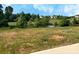 Lush backyard with a serene pond, surrounded by mature trees, offering a peaceful outdoor setting at 209 Lake George Dr, Shelby, NC 28152