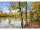Scenic lake view with fall foliage, complemented by a wooden dock and calm water at 1176 Whitehall Hill Rd, York, SC 29745