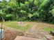 Private backyard oasis with lush bamboo, brick pathway, and fire pit at 3337 Eastway Dr, Charlotte, NC 28205