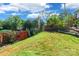 The grassy backyard is bordered by a wooden fence and mature trees at 1166 Montford Dr, Charlotte, NC 28209