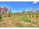 Expansive backyard featuring a wood fence and landscaping, offering privacy and a peaceful setting at 571 Lyttleton Dr, Charlotte, NC 28211