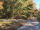 Scenic view of the driveway leading to the property surrounded by mature trees, lush greenery, and natural beauty at 1062 Full Count Ln, Lancaster, SC 29720