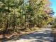 A peaceful road view lined with mature trees, hinting at the serene setting of the property and neighborhood at 1062 Full Count Ln, Lancaster, SC 29720