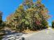 A view of the street with mature trees and foliage, providing a glimpse of the property's surroundings at 1062 Full Count Ln, Lancaster, SC 29720