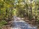 A gravel driveway provides access to a secluded property nestled in nature at 1216 Stallion Ln, Lancaster, SC 29720