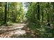 Picturesque long wooded driveway to home in the forest at 1216 Stallion Ln, Lancaster, SC 29720