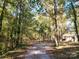 Long wooded driveway to cozy home in a forest setting at 1216 Stallion Ln, Lancaster, SC 29720