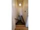 Stairwell leading down to the basement at 4000 Wilson Ln, Charlotte, NC 28206