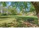 Large grassy backyard area shaded by mature trees, offering serene views and a peaceful setting at 1652 12Th Ne St, Hickory, NC 28601