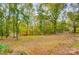 Spacious backyard featuring a mix of grassy areas and mature trees, ideal for outdoor activities and relaxation at 11429 Spreading Oak Ln, Charlotte, NC 28226