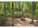 Cozy fire pit area in a wooded setting at 112 Sugar Thyme Ln, Mooresville, NC 28115