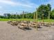 Outdoor picnic area with multiple wooden picnic tables and overhead string lights against a green landscape at 10730 Rogalla Dr, Charlotte, NC 28277