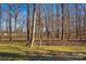 Open wooded area behind the property at 797 Chief Thomas Rd, Harmony, NC 28634