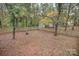 Large fenced backyard featuring mature trees and leaf-covered ground, creating a private outdoor space at 914 Wyke Rd, Shelby, NC 28150