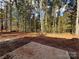 Large backyard with mature trees and cleared area at 737 E Memorial Hwy, Harmony, NC 28634