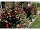 Landscaped entryway with beautiful roses at 1926 Hopewell Church Rd, Sherrills Ford, NC 28673