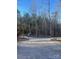 Gravel driveway leading to the home, surrounded by trees at 1386 Old Pinckney Rd, York, SC 29745