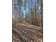 Wooded trail ideal for walking or riding at 1386 Old Pinckney Rd, York, SC 29745