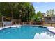 Sparkling in-ground swimming pool with surrounding deck and a tropical landscaping at 3107 Balkan Dr, York, SC 29745