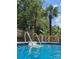 Stunning pool view with palm trees and lush greenery, perfect for relaxation at 3107 Balkan Dr, York, SC 29745