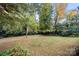 Lush backyard with mature trees and landscaping at 2545 Rea Rd, Charlotte, NC 28226