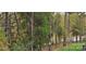 Relaxing backyard view with mature trees, offering privacy and nature at 25622 Seagull Dr # 645, Lancaster, SC 29720
