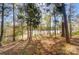 Backyard of trees and a lake with light shining through the trees at 25622 Seagull Dr # 645, Lancaster, SC 29720