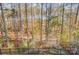 Backyard view from the deck of dense trees and bushes with a partial view of the lake at 25622 Seagull Dr # 645, Lancaster, SC 29720