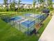 Community pickleball and basketball courts at 9744 Inkberry Dr, Gastonia, NC 28056