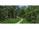 A winding walking path through a lush green forest at 18023 Train Station Dr, Cornelius, NC 28031