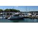 Scenic marina view showcasing a variety of boats docked along the harbor, offering waterfront enjoyment at 20361 Enclave Oaks Ct, Cornelius, NC 28031