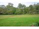 Open green space with a wooded backdrop at 1325 Ballard Dr, Waxhaw, NC 28173