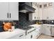 Modern kitchen with white cabinets,hexagon backsplash, and stainless steel appliances at 1325 Ballard Dr, Waxhaw, NC 28173