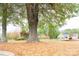 Large front yard with mature trees and fallen leaves at 6372 Morehead Rd, Harrisburg, NC 28075