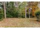 Wooded backyard with autumn leaves at 8724 Old Plank Rd, Charlotte, NC 28216