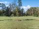 Large grassy backyard with a young tree at 18014 Pear Hawthorne Dr, Huntersville, NC 28078
