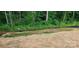 Backyard with recently-planted grass offers a serene view of nature and peaceful surroundings at 536 Robinhood Rd # 27, Maiden, NC 28650
