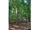 Relaxing backyard with a cozy swing and lush trees offers a private outdoor retreat at 3195 Hadden Hall Blvd, Fort Mill, SC 29715