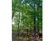 A wooden swing set nestled within a lush, green backyard, inviting relaxation and outdoor enjoyment at 3195 Hadden Hall Blvd, Fort Mill, SC 29715
