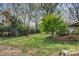 Spacious backyard with mature trees and landscaping, featuring a wooden fence at 841 12Th Nw Ave, Hickory, NC 28601