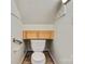 Small half-bathroom featuring toilet, grab bar, cabinets and wood-look tile flooring at 841 12Th Nw Ave, Hickory, NC 28601