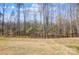 Large backyard with mature trees and landscaping offering privacy and a connection to nature at 4021 Grace Pointe Dr # 104, Wesley Chapel, NC 28079
