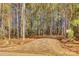Dirt driveway leading to a wooded area with a partially visible home at 636 Edwards Rd, Fort Lawn, SC 29714